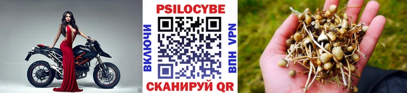 Галлюциногенные грибы Cubensis  Купить где  Феодосия 
